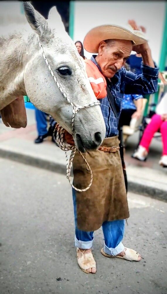 Compañeros de Jornada.