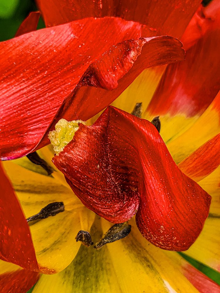 Photograph by Екатерина Народицкая