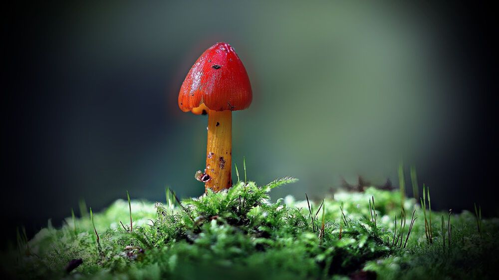 Фотография автора Sergey