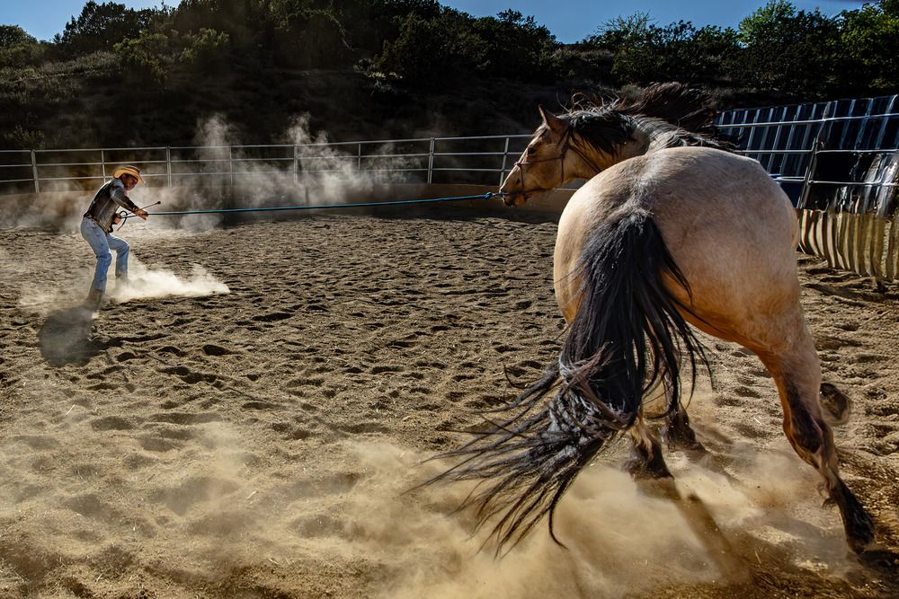 Фотография автора Ramin Barzegar