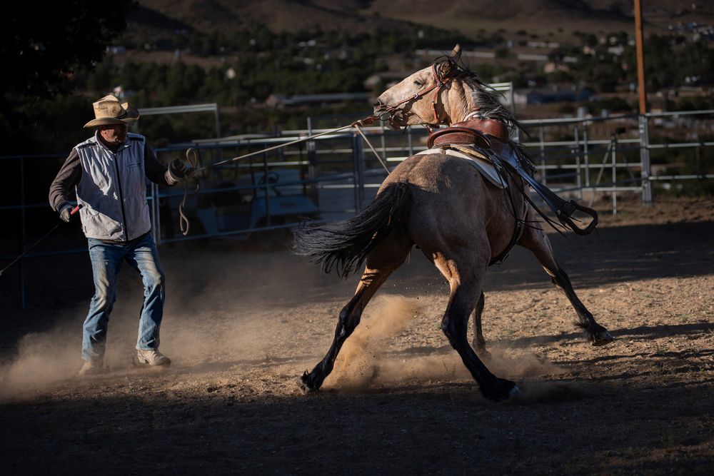 Masters of Equine Harmony II