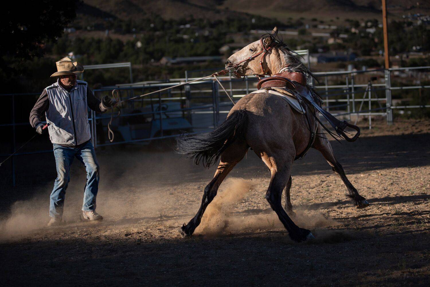 Masters of Equine Harmony II