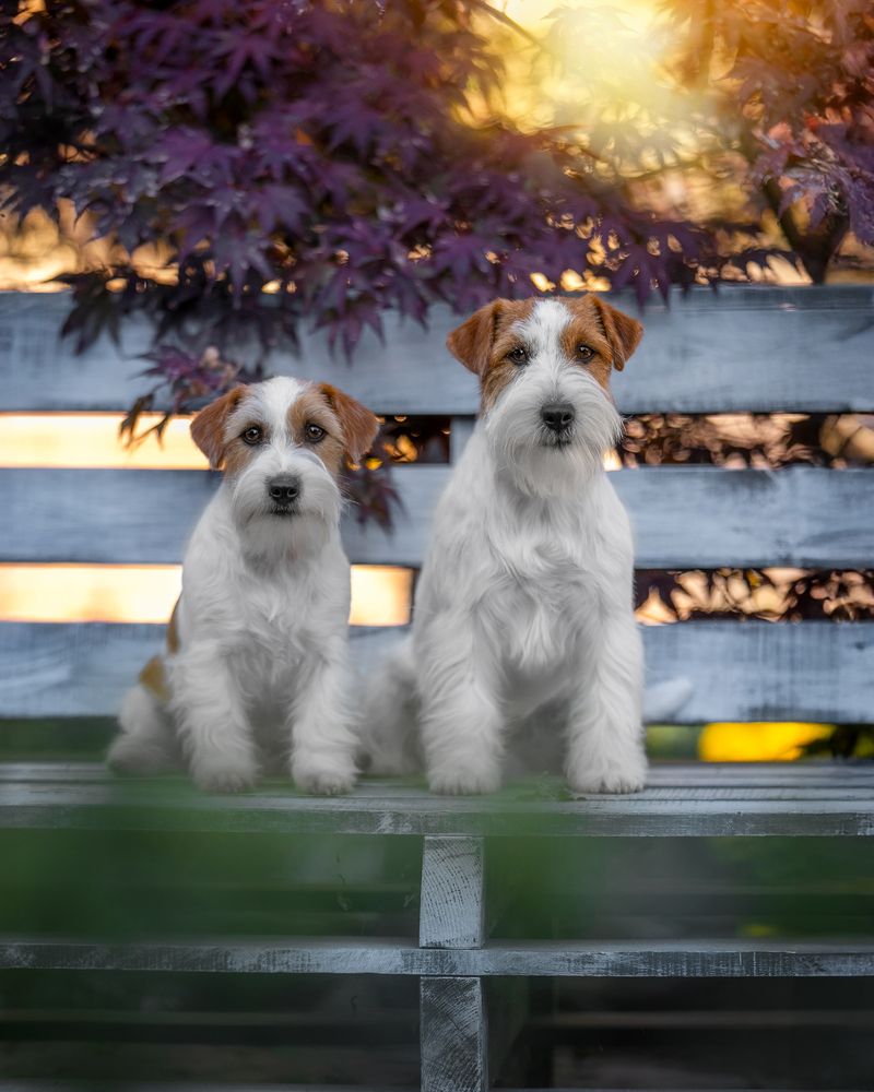 Photograph by Наталья Орел