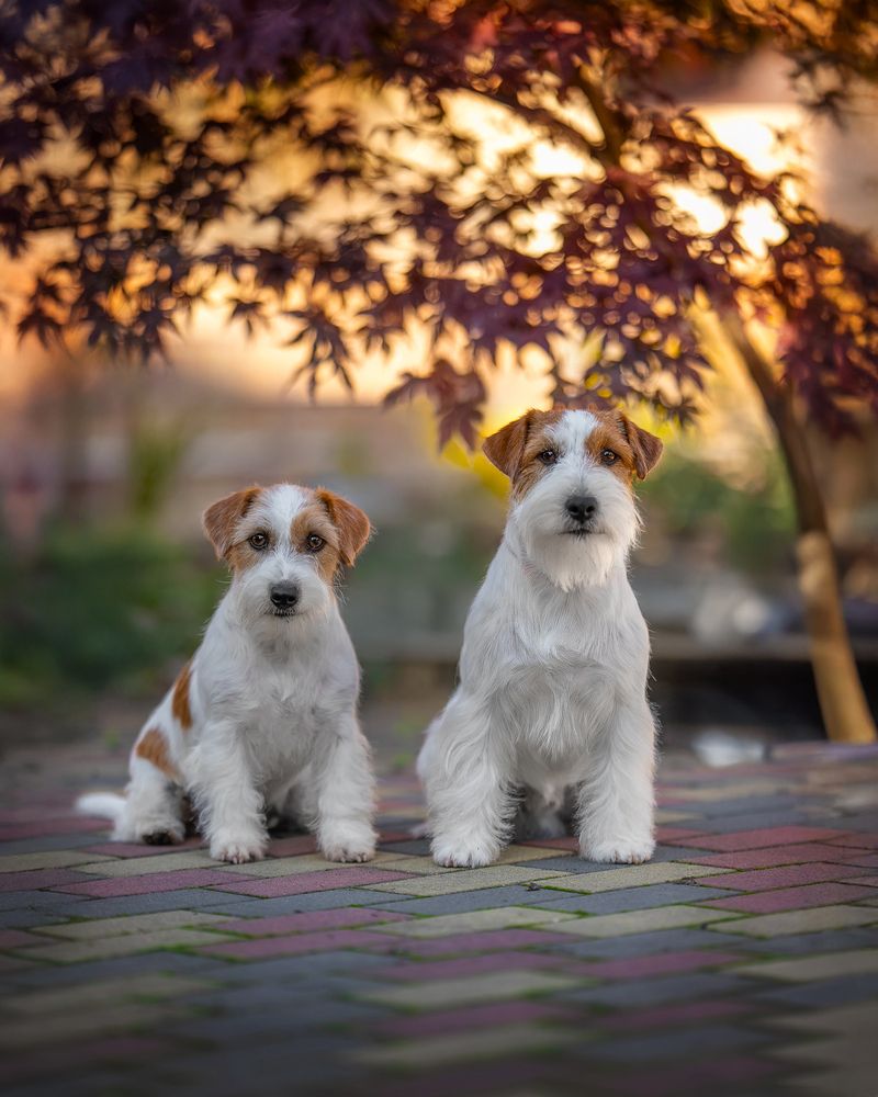 Photograph by Наталья Орел