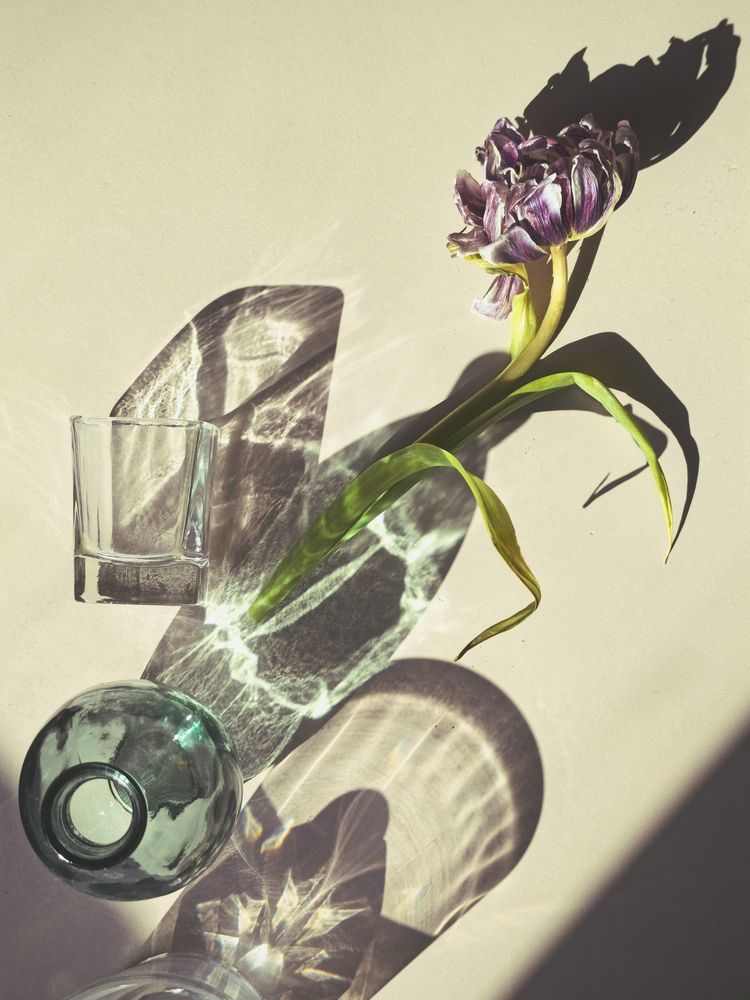 Фотография автора Ольга Репина