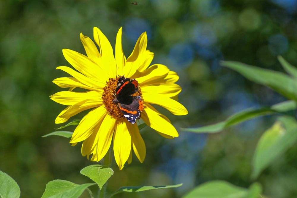 Photograph by Владимир