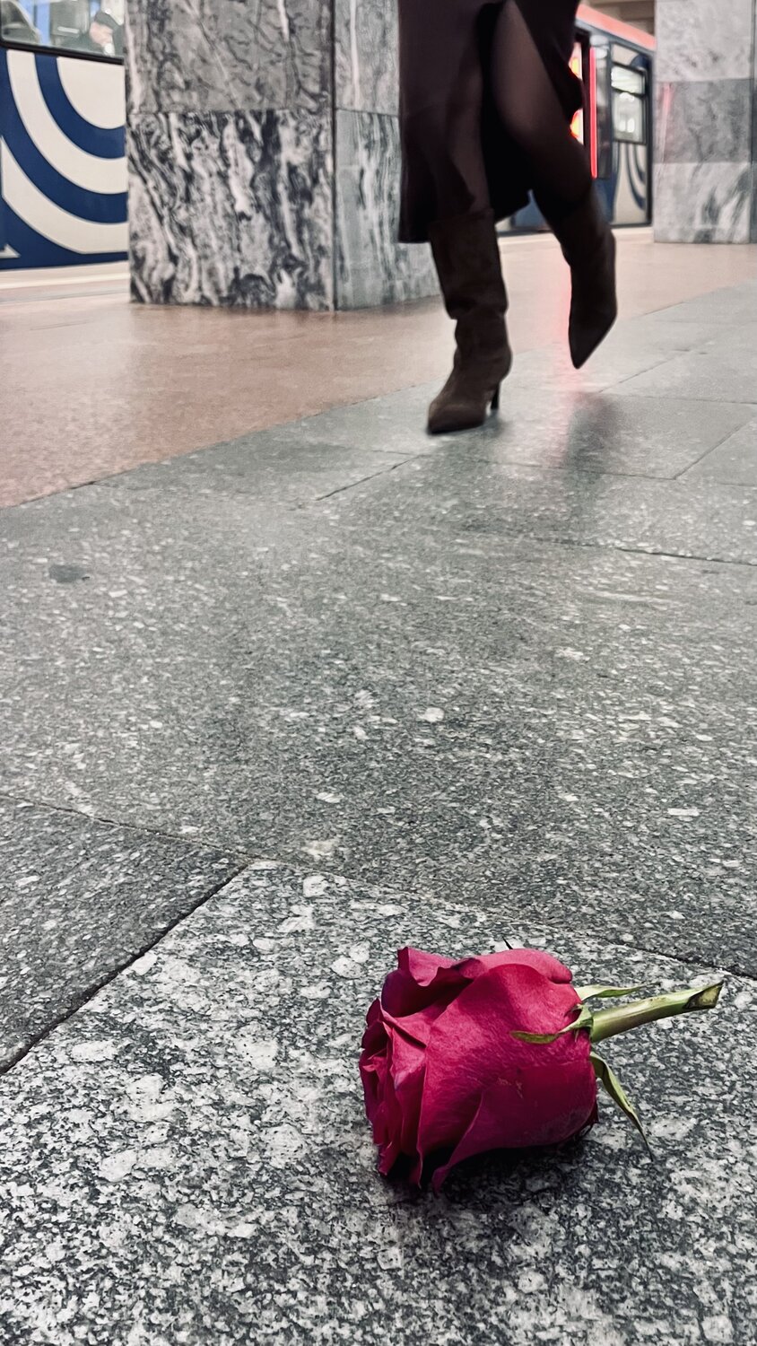 Photo #13445218