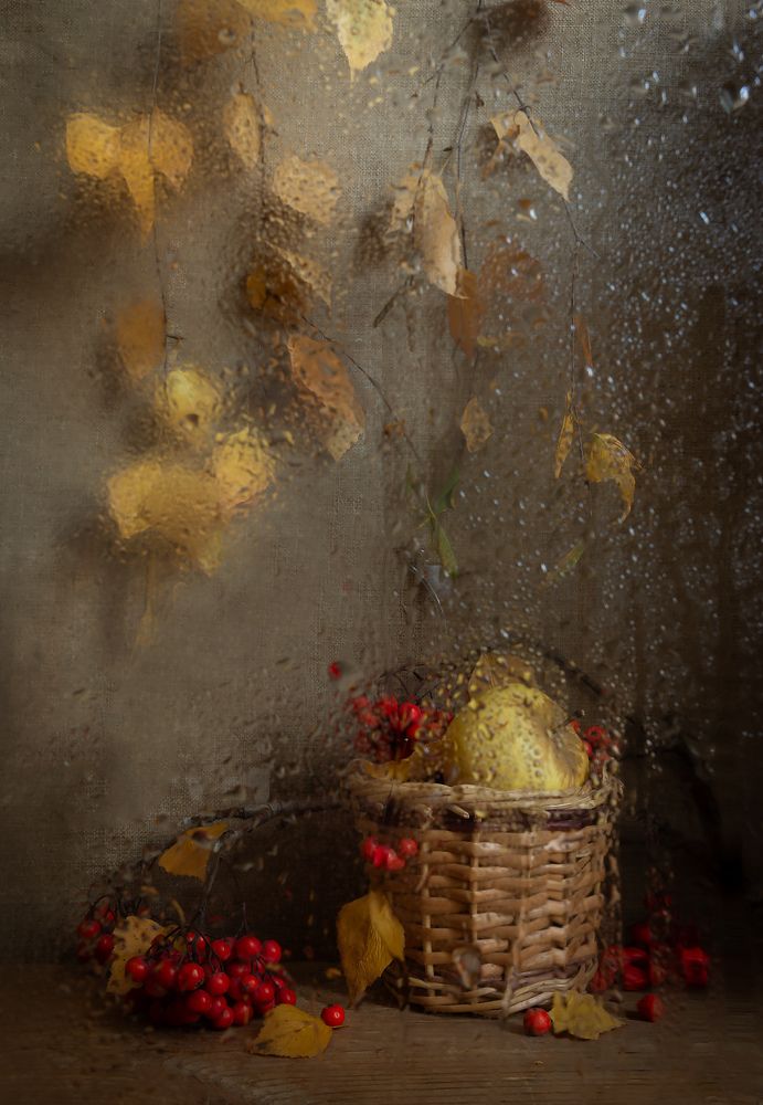 Осенний дождь из желтых листьев...