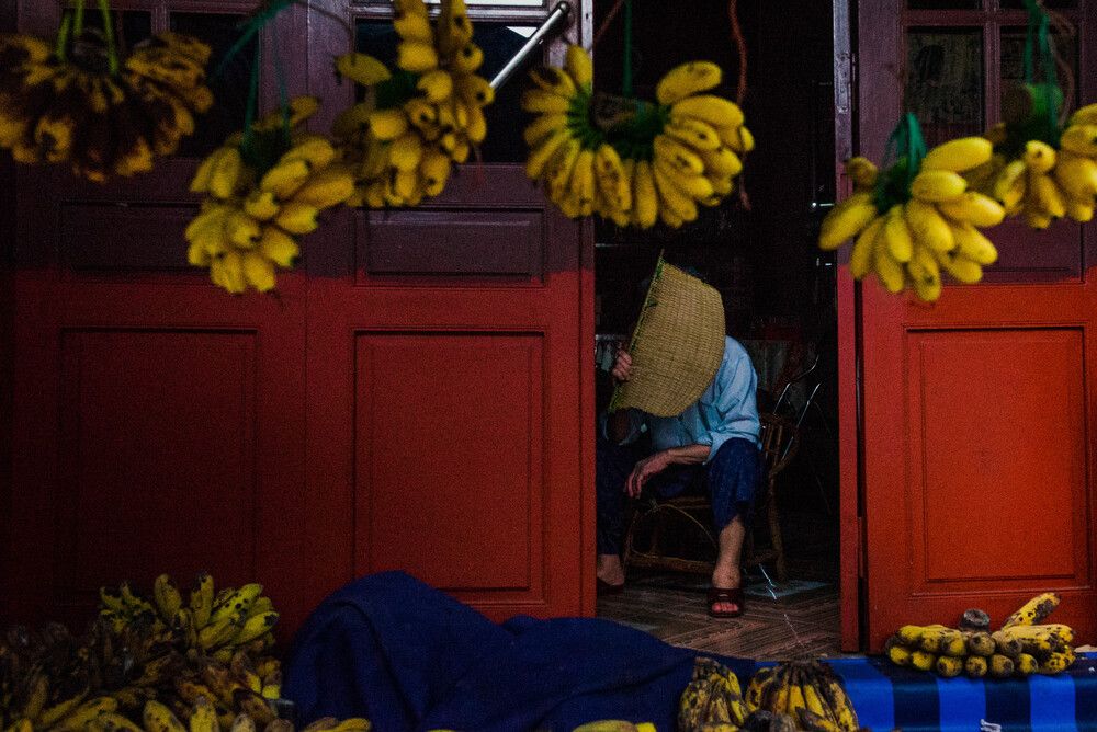 Photograph by Vũ Phong