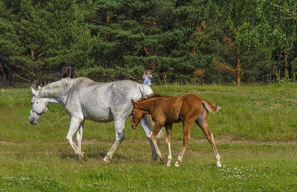 Photograph by Цветков Сергей