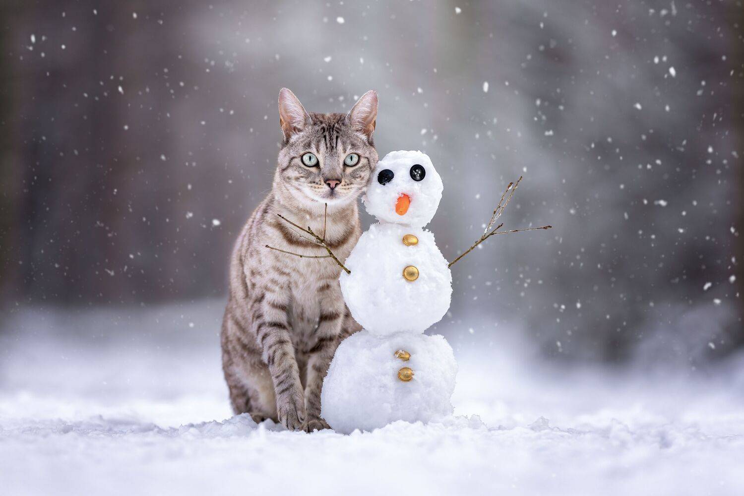 Boo with snowman