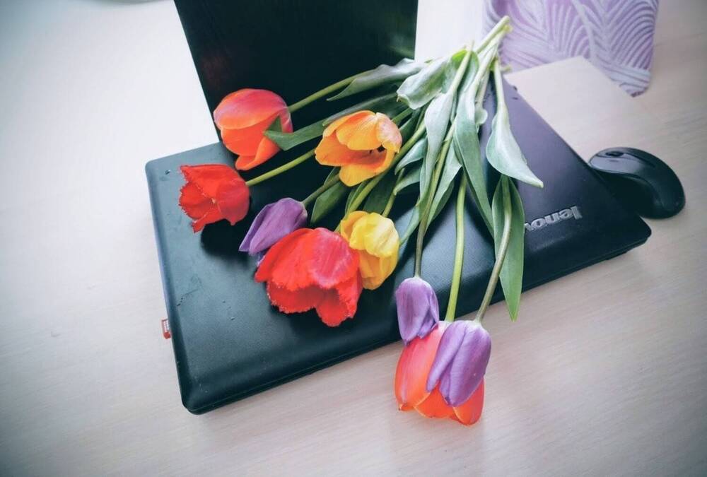 Photograph by Людмила Локтионова