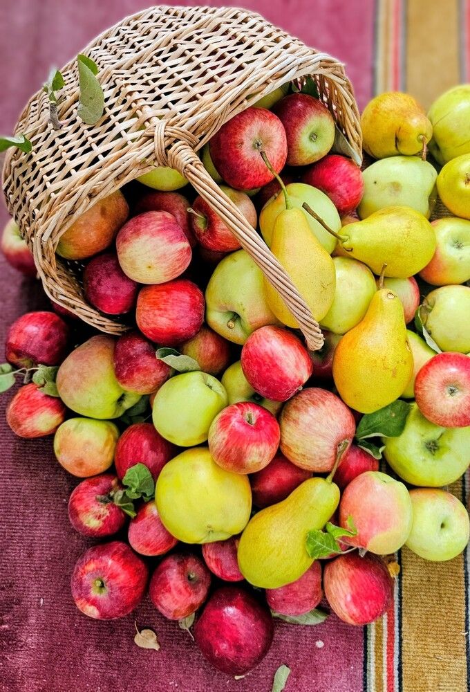 Photograph by Людмила Локтионова