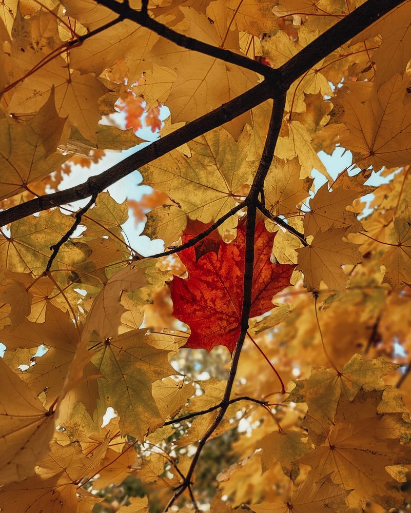 Photograph by Екатерина Сенько