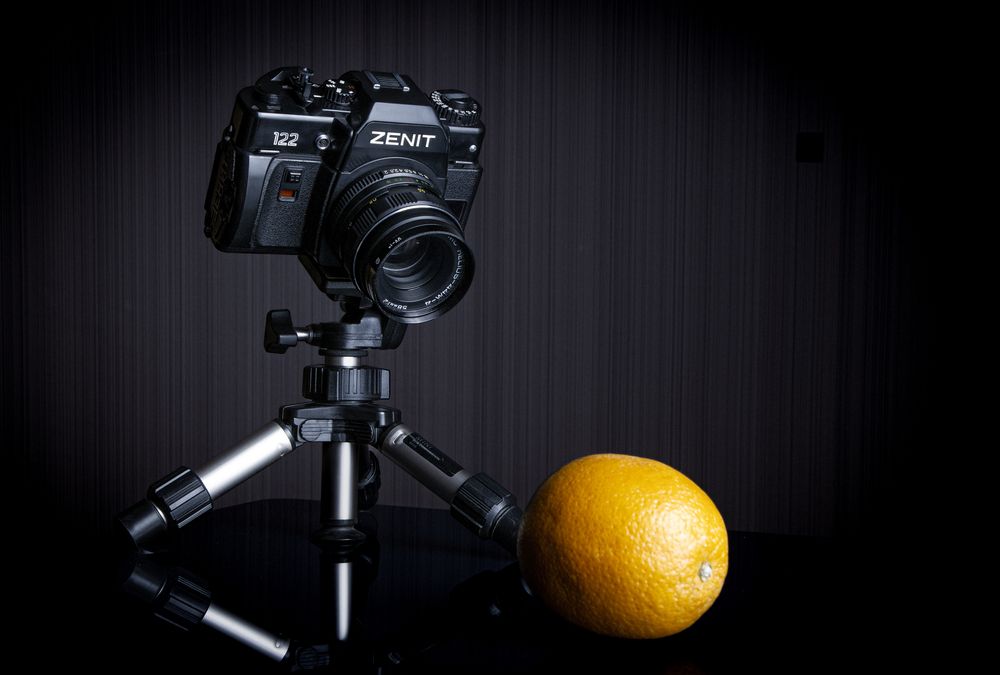 Фотография #13445655