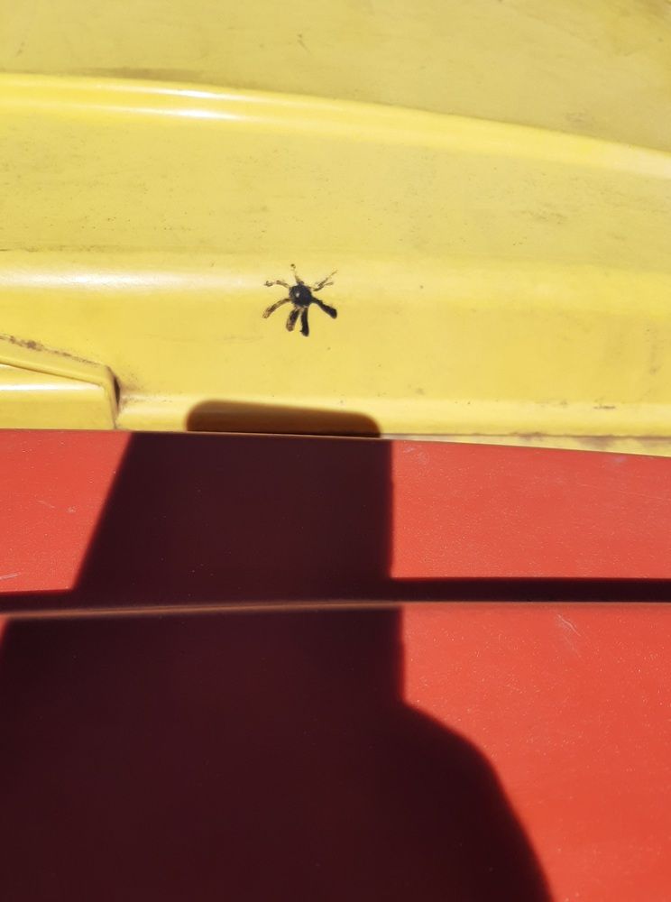 Photograph by Сергей Вальков