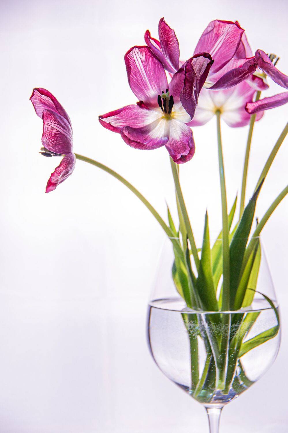 Фотография #13445687