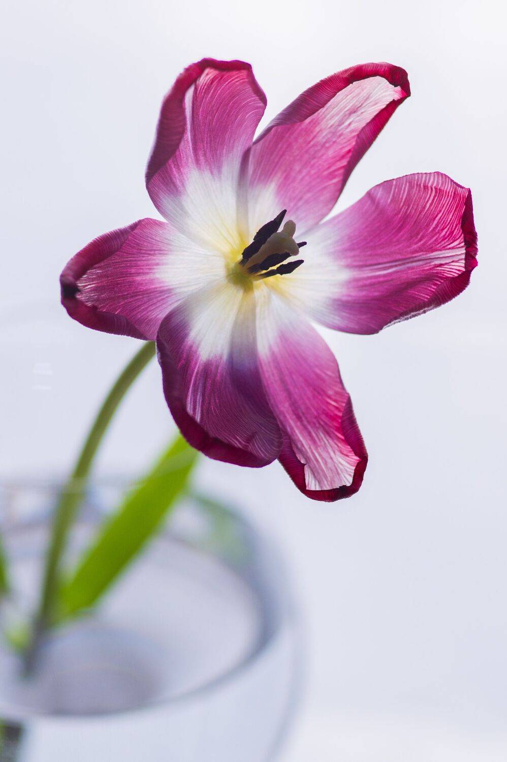 Фотография #13445689