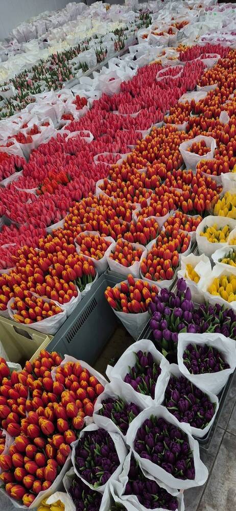 Photograph by Ольга Мусина