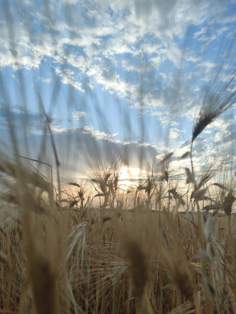 Photograph by Марина Манацкова