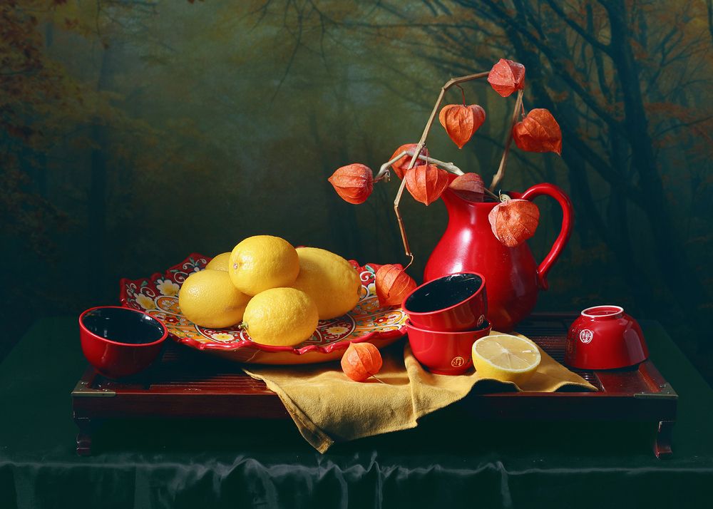 Лимоны и ветка физалиса