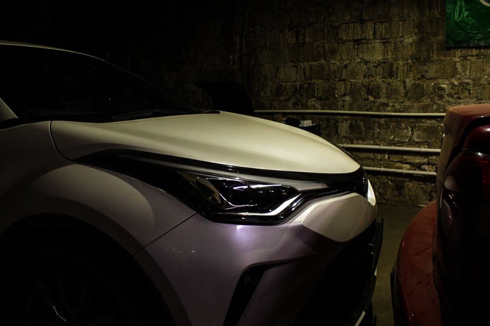 Фотография #13445934