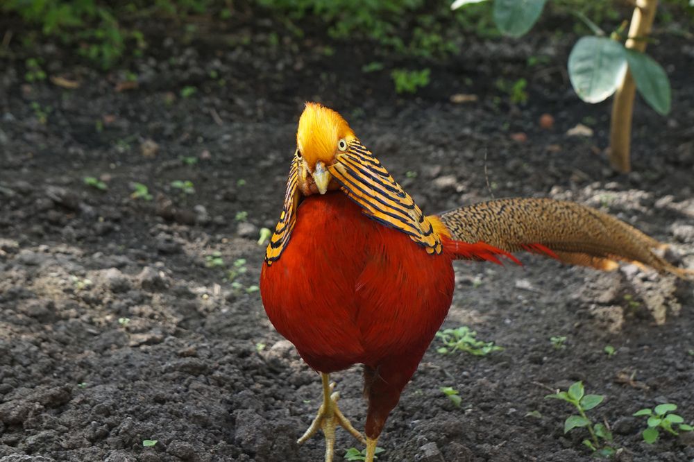 Photograph by Лена Максимкина