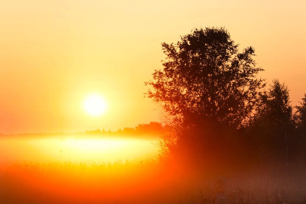 Photograph by Dmitriy Marchenko