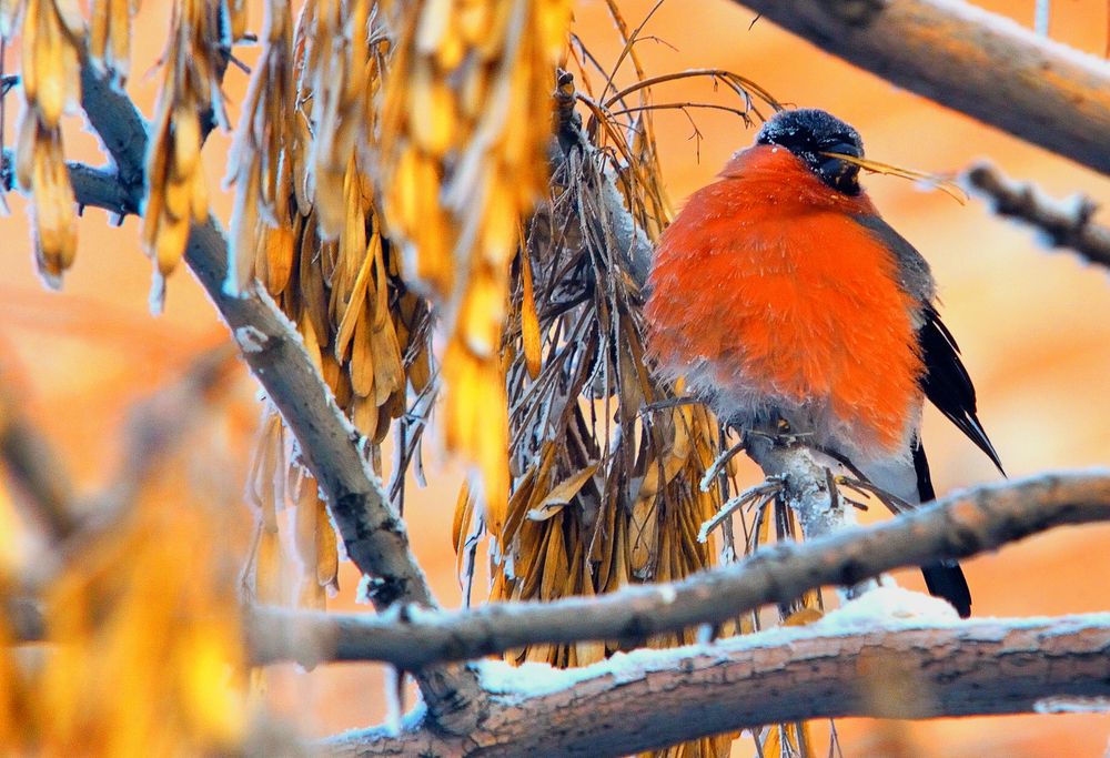 Photograph by Виктор Садырин