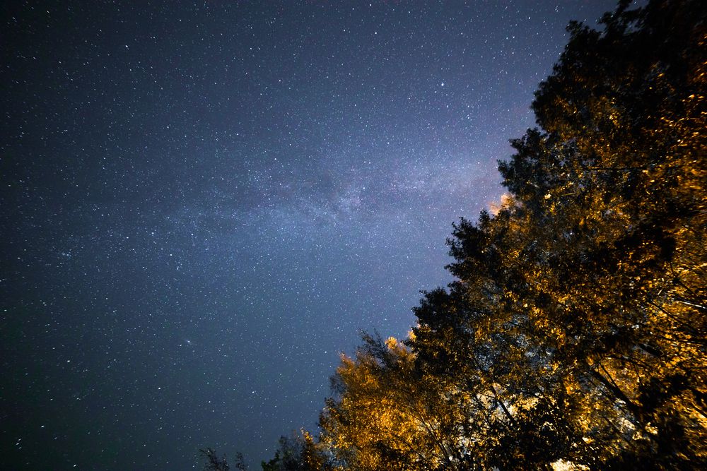 Золото осени под куполом звезд.