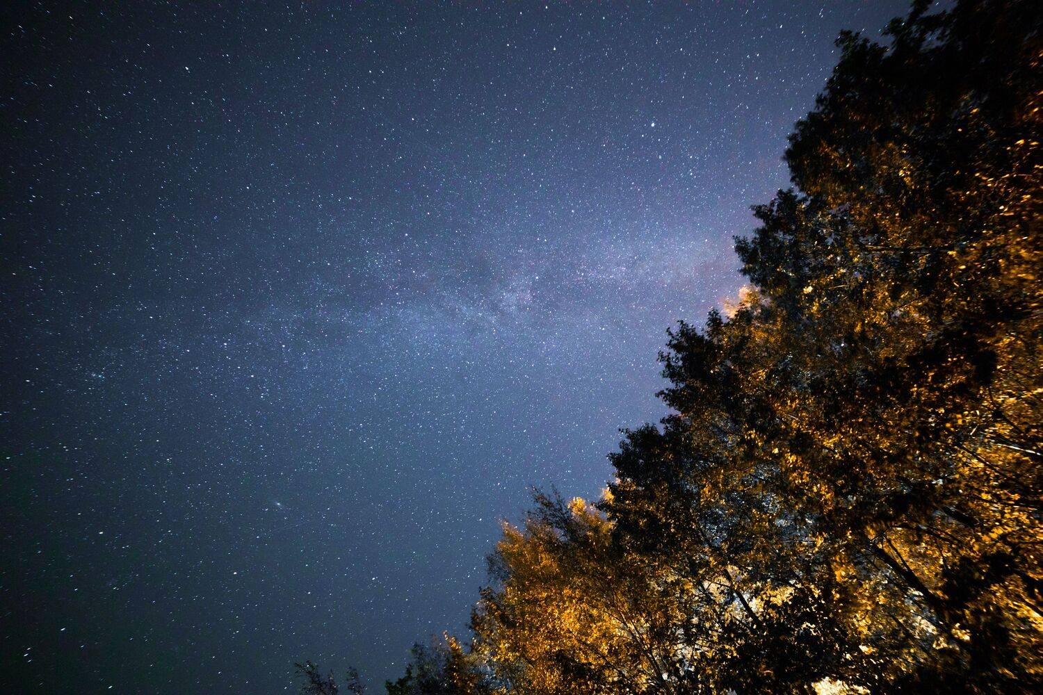 Золото осени под куполом звезд.