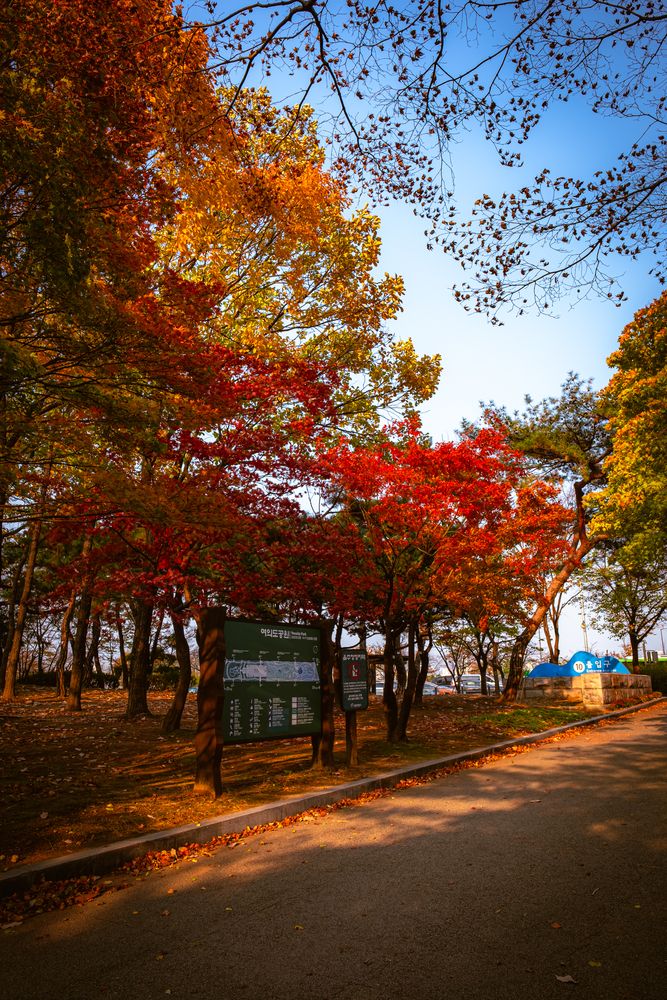 Photograph by Наталья Доброквашина