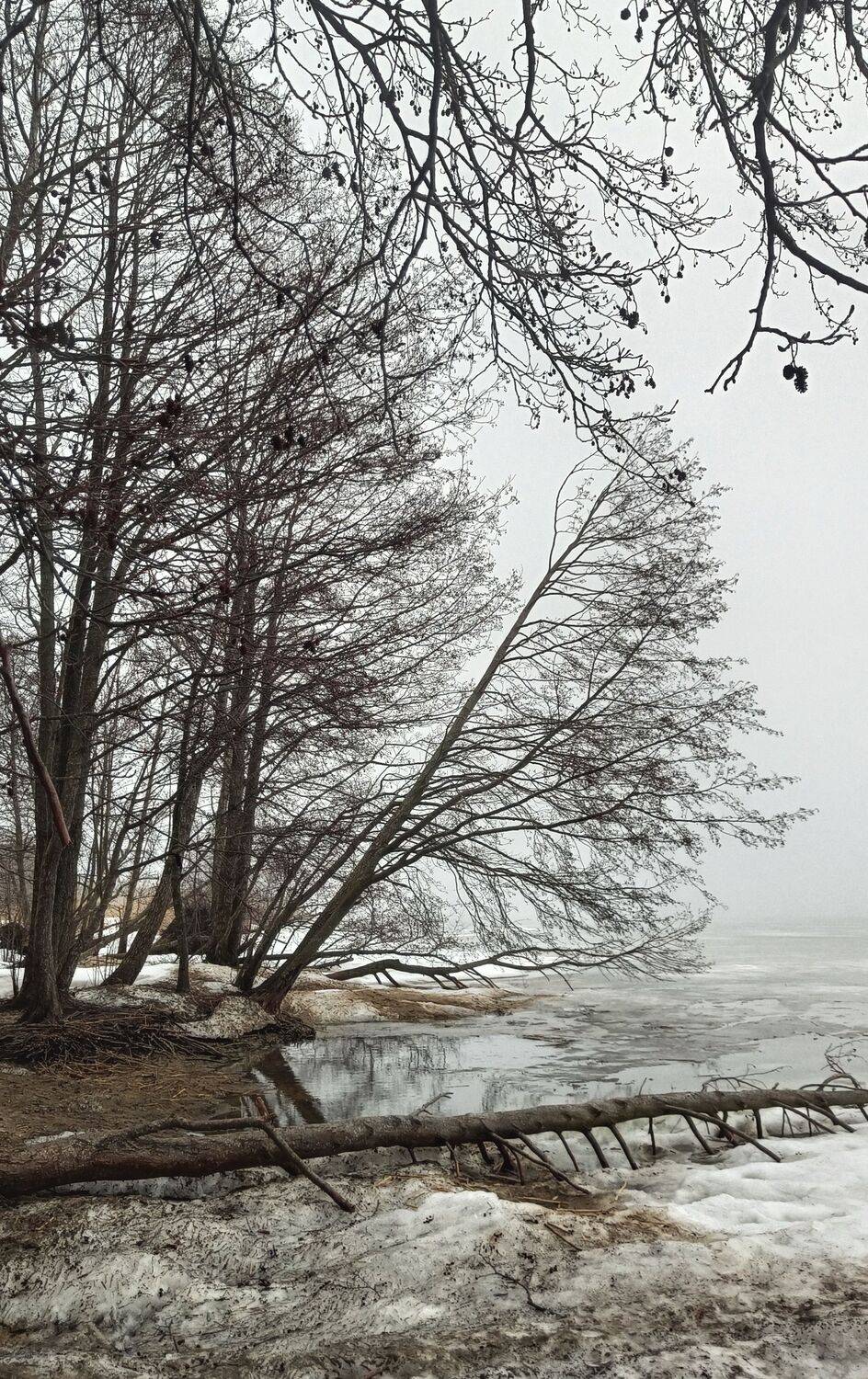 Март на Куршском заливе