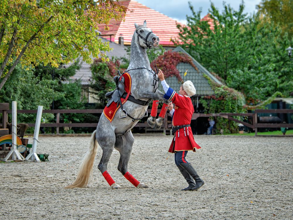 Фотография автора Юрий Михайлович Головкин