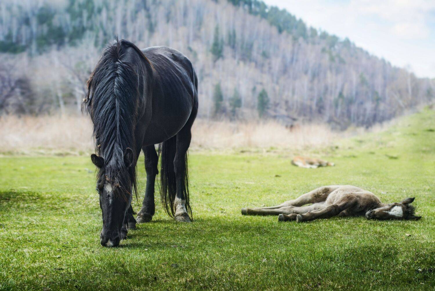 Фотография #13446199