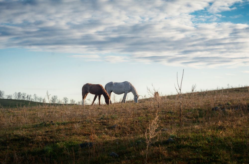 Photograph by Елена Соколова