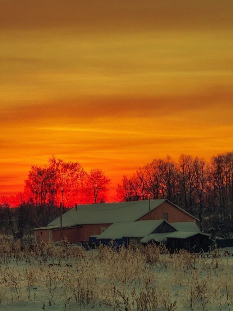 Photograph by Светлана Долганова