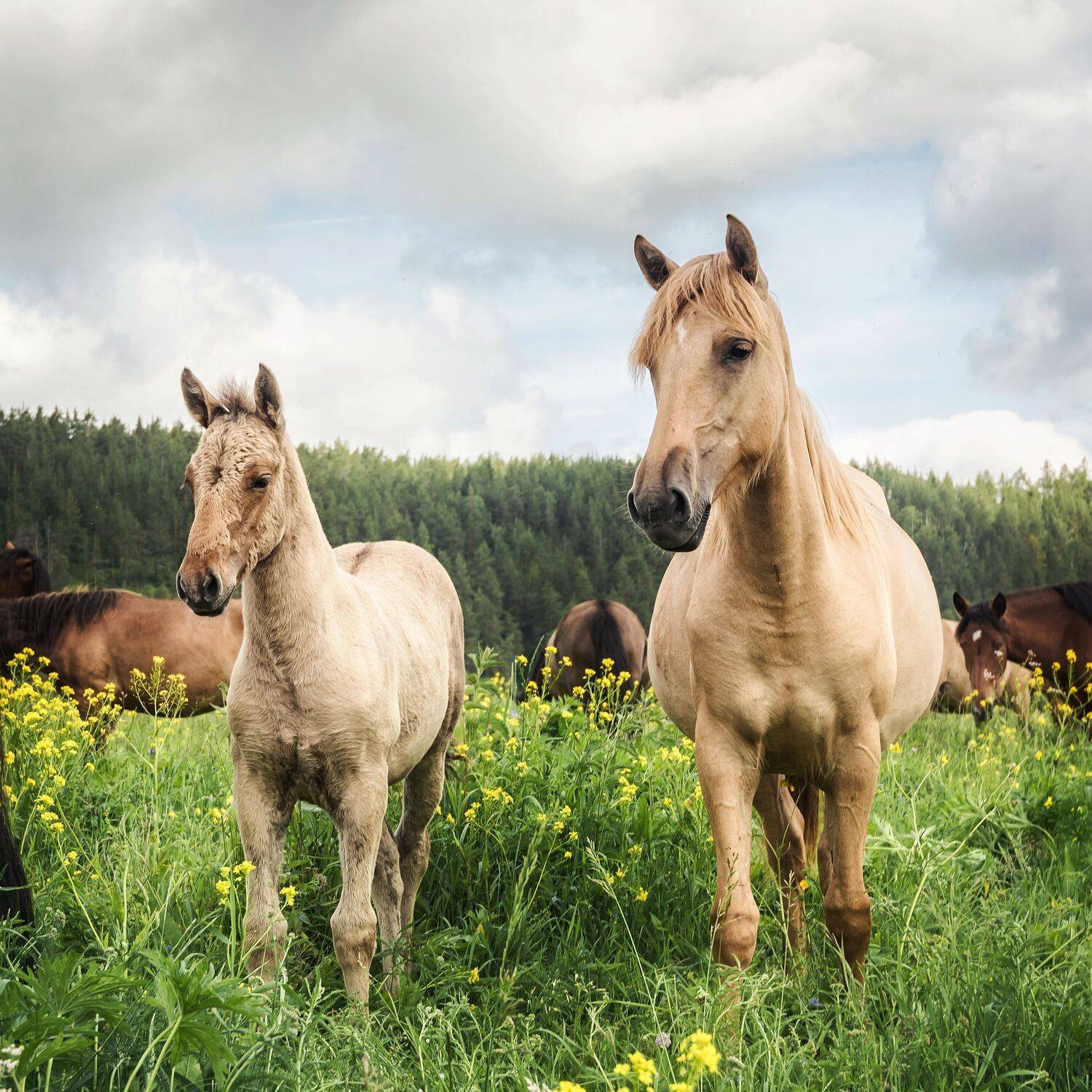 Фотография #13446224