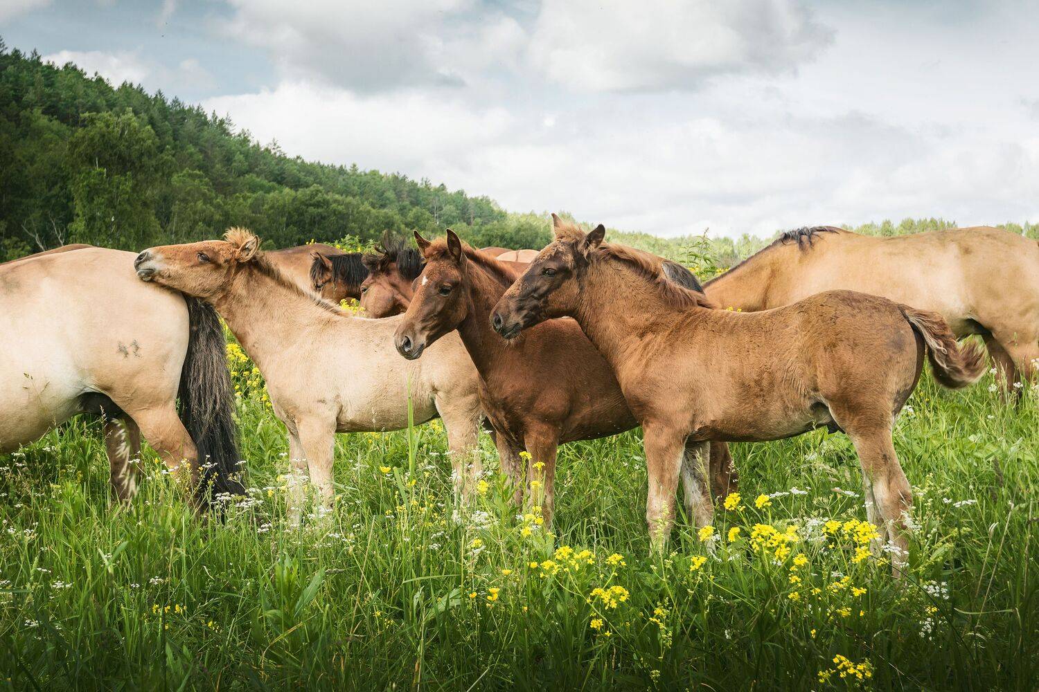 Фотография #13446231