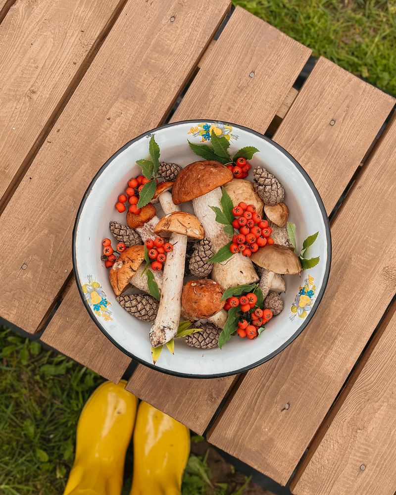 Фотография автора Татьяна Ремизова