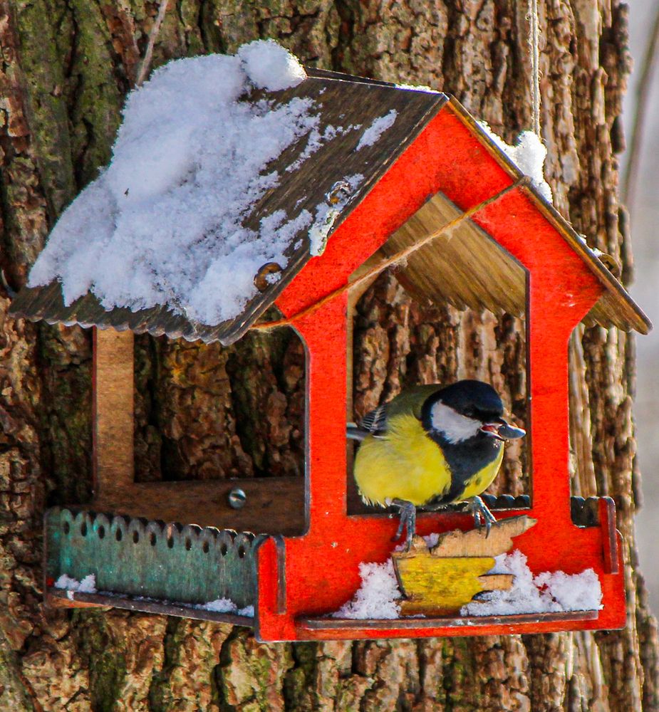 Photograph by Евгения Флиорчук