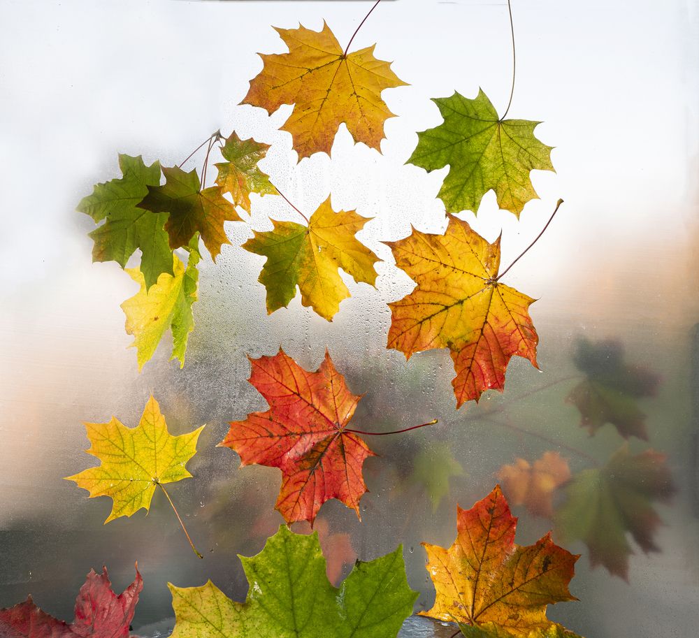 Photograph by NADEZHDA PELYMSKAIA