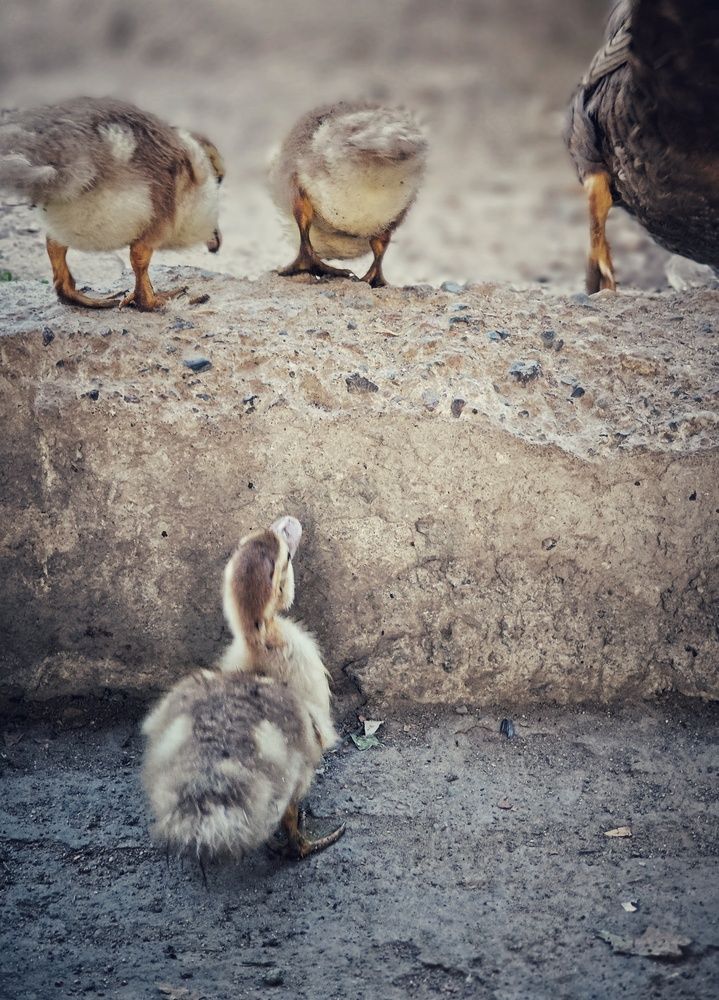 Photograph by Евгения Владимировна