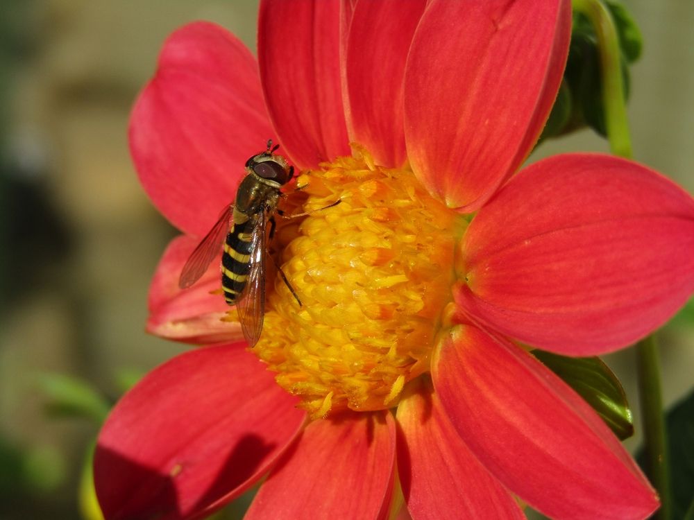 Photograph by Владимир Перминов