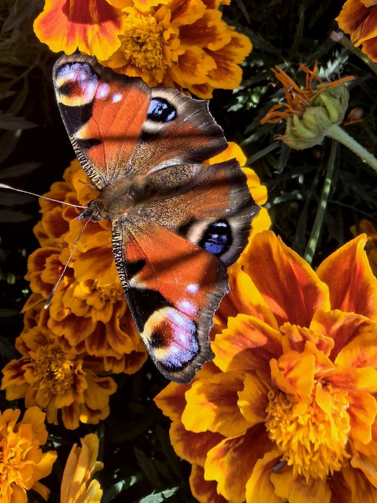 Photograph by Елена Терехова