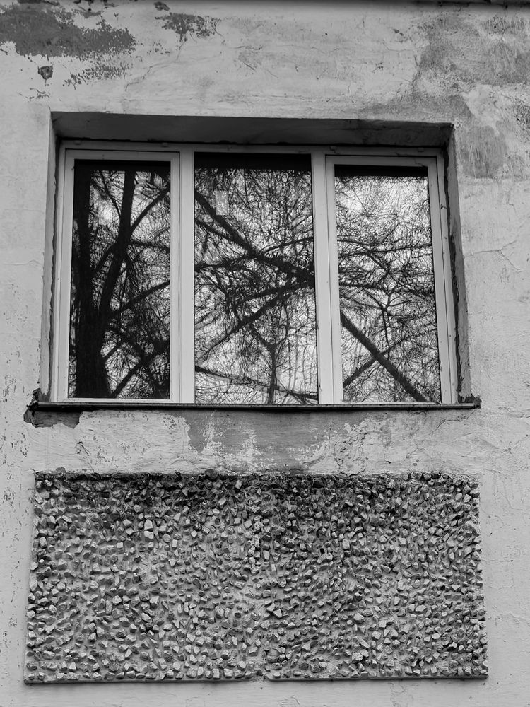 Photograph by Елена Терехова