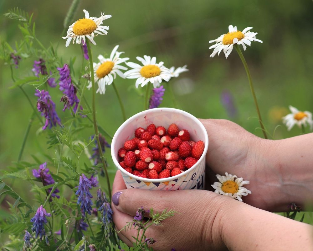 Photograph by Владимир Перминов