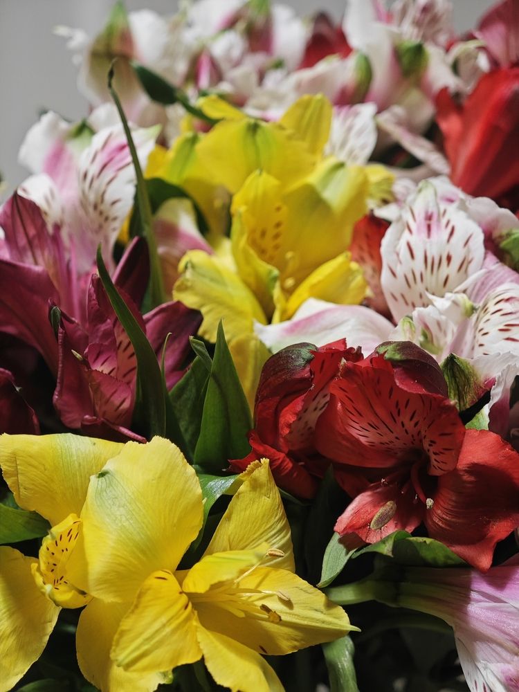 Photograph by Наташа Данилова