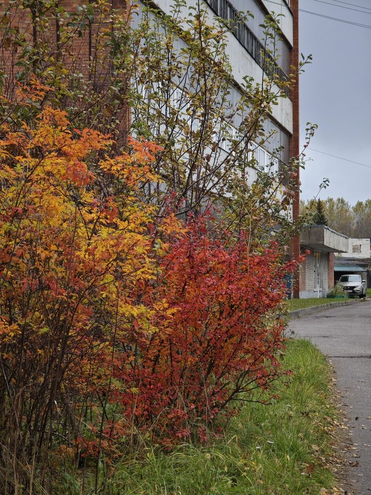 Photograph by Наташа Данилова