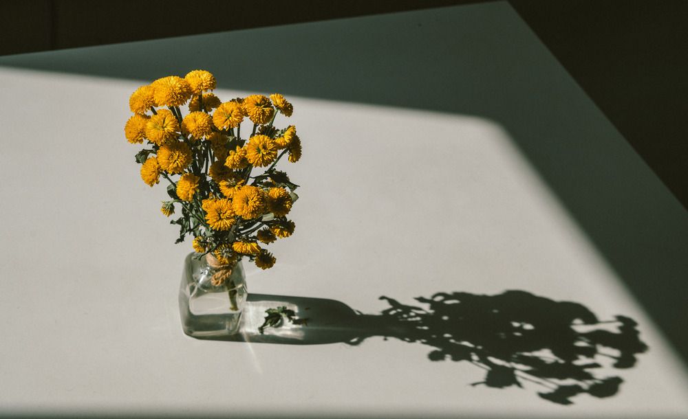 Photograph by Дмитрий Пронин